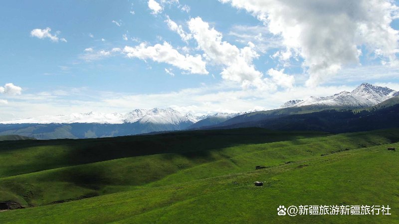 伊犁旅游新探索：从历史深处看今日美丽